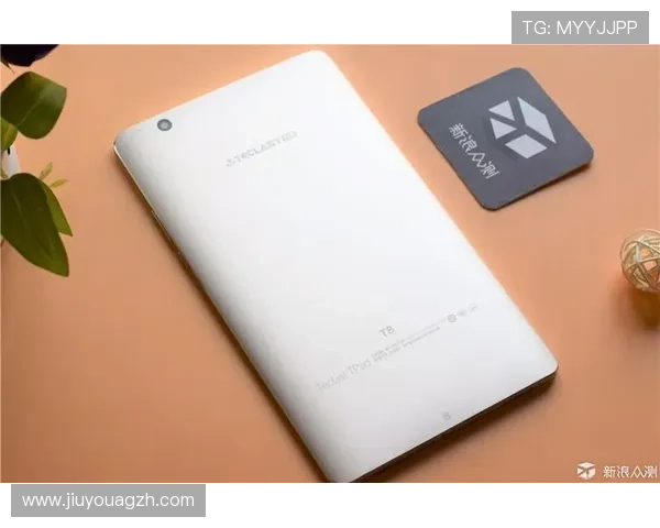 爱游戏(AIYOUXI)游戏官网安全保障措施与账号保护策略，确保您的游戏资产安全